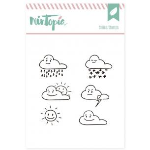 Acrylic seals Predicts time 5cm x 5cm