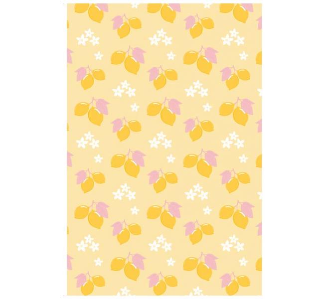 Vellum Cards EL MEJOR VERANO 12 tarjetas en papel vegetal 10x15 cm