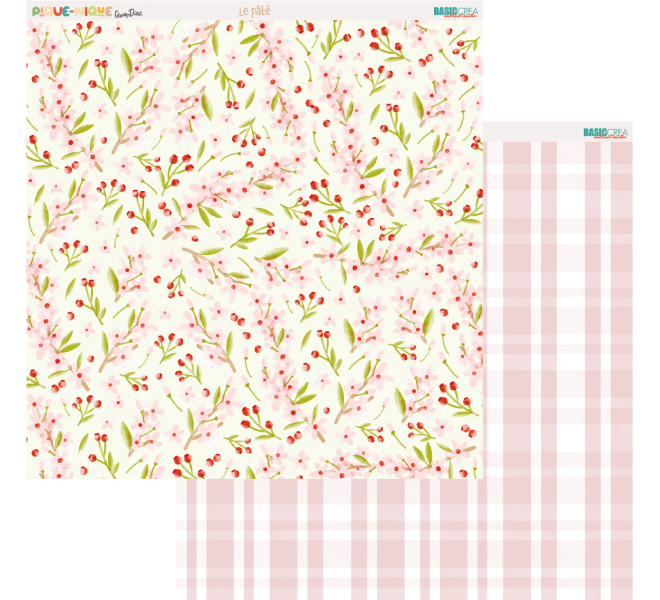 PIQUE-NIQUE Paper Pack 30X30