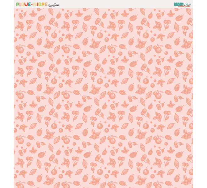 PIQUE-NIQUE Paper Pack 30X30