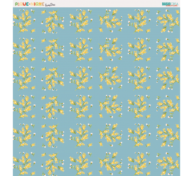 PIQUE-NIQUE Paper Pack 30X30