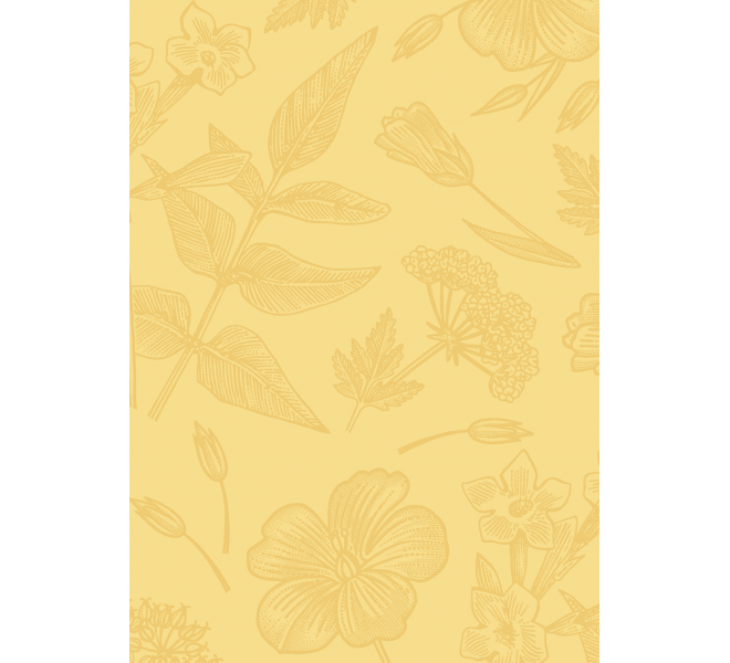 FLORISTA  Básicos coordinados