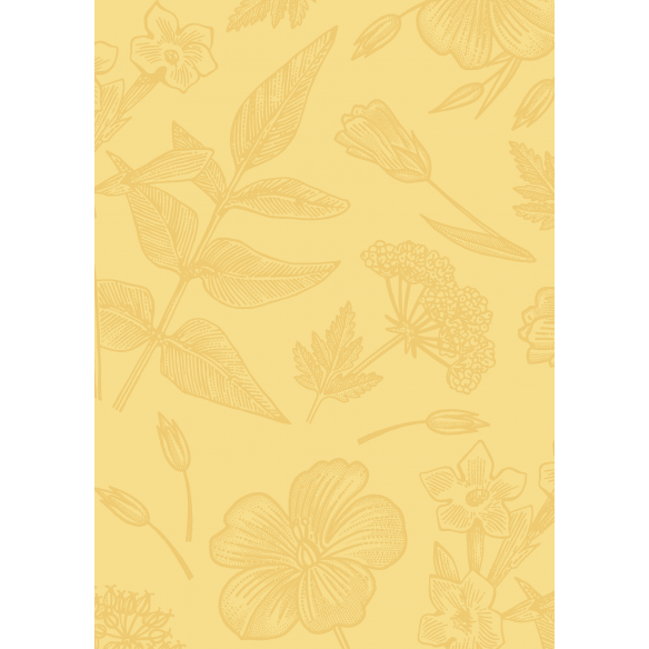 FLORISTA  Básicos coordinados