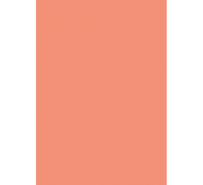 FLORISTA  Básicos coordinados