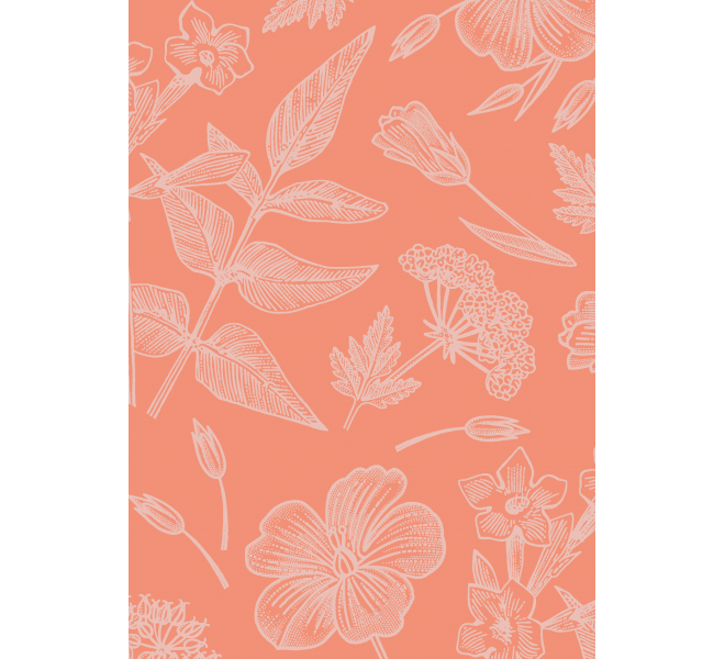 FLORISTA  Básicos coordinados