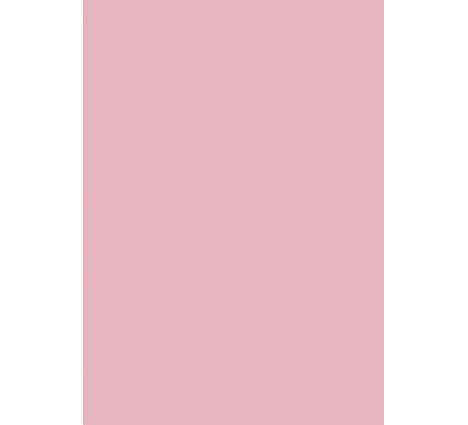 FLORISTA  Básicos coordinados