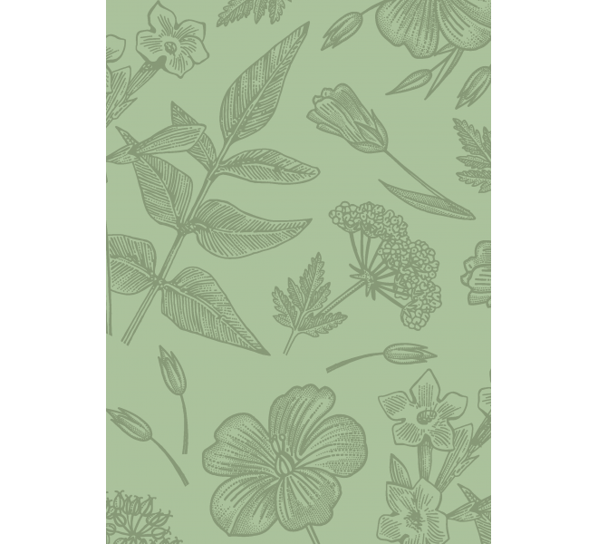 FLORISTA  Básicos coordinados