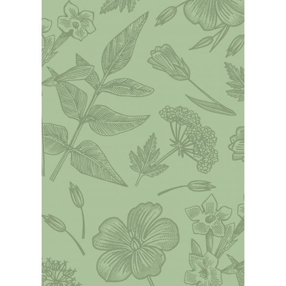 FLORISTA  Básicos coordinados