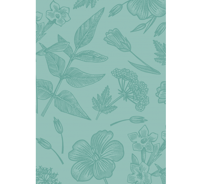 FLORISTA  Básicos coordinados