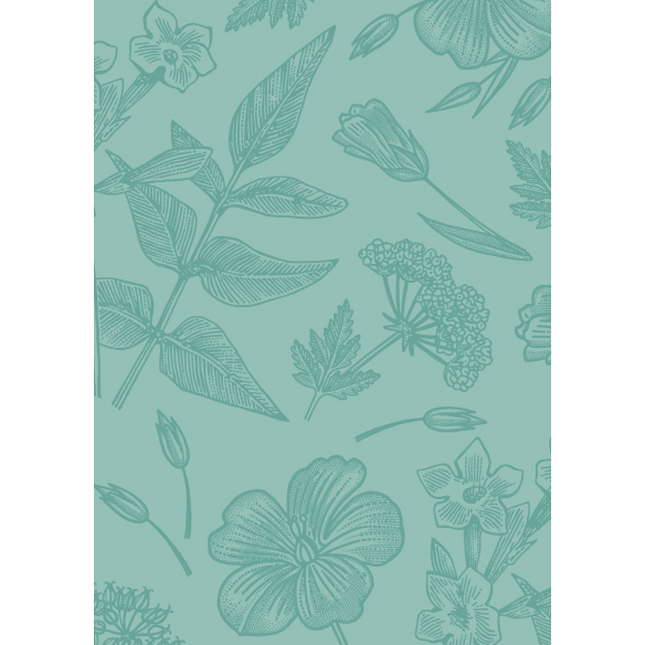 FLORISTA  Básicos coordinados