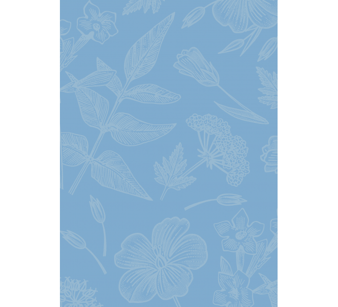 FLORISTA  Básicos coordinados