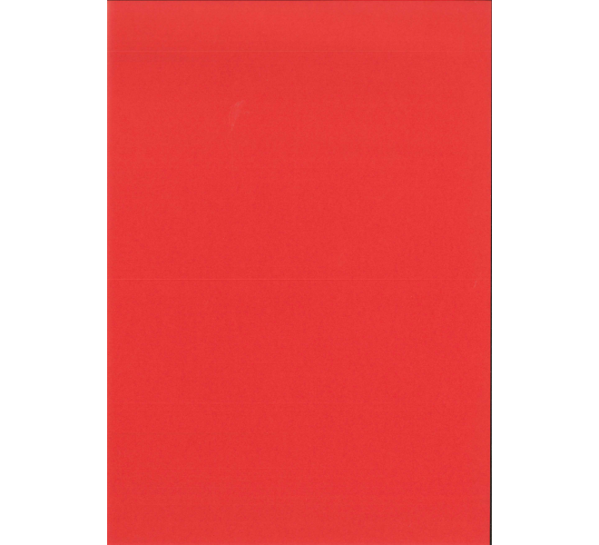 FLORISTA  Básicos coordinados