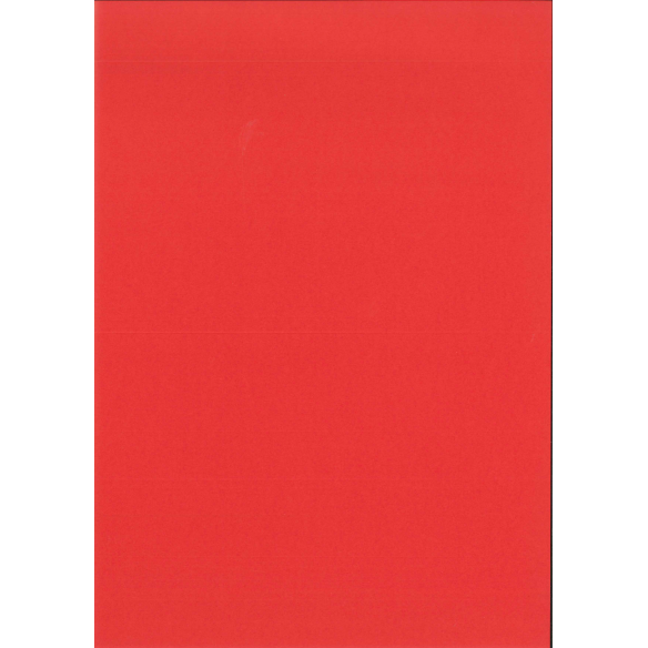 FLORISTA  Básicos coordinados