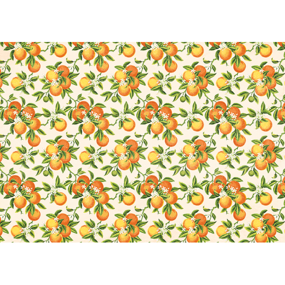 PAPER PRESS MODELO 2 "Speak Easy"