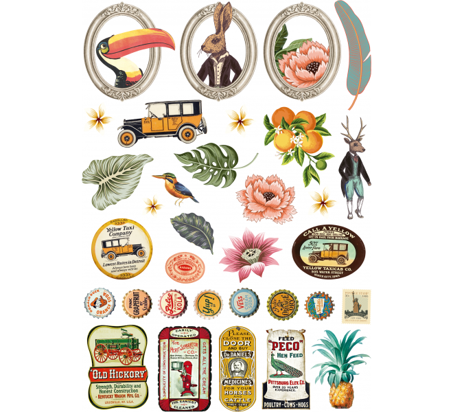 DIECUTS PAPEL* "Speak Easy"