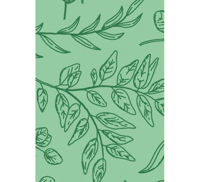 FLORIST Basic coordinated