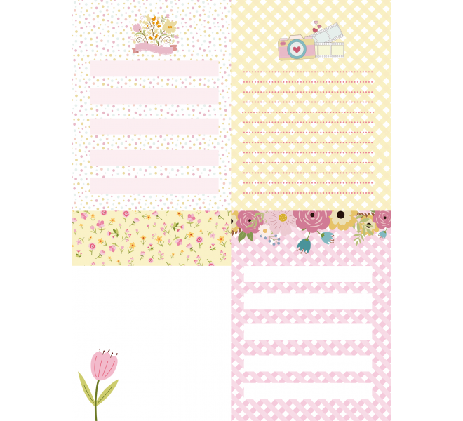 PAD RECORTABLES 15X20   "CLICK"