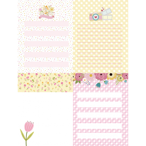 PAD RECORTABLES 15X20   "CLICK"