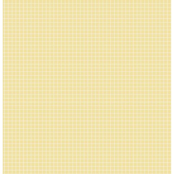 PAD PAPEL 12"X12"   "CLICK"