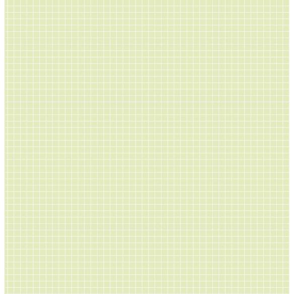 PAD PAPEL 12"X12"   "CLICK"