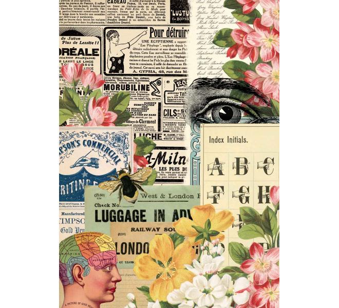 Découpage Paper A4-Collector Diary Col. I