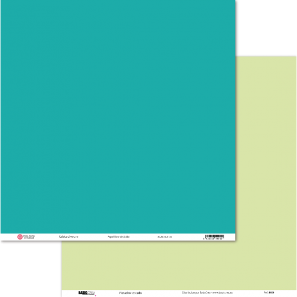 Basic Paper Wild Sage/ Toasted Pistachio 30.5x30.5