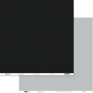 Sweet Liquorice/Old Slate Basic Paper 30.5x30.5