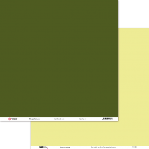 Basic Paper Lima Aromatic/Wet Moss 30.5x30.5