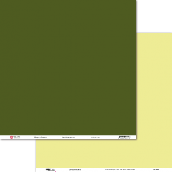 Basic Paper Lima Aromatic/Wet Moss 30.5x30.5