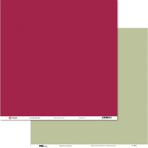 Papel Básico Grosella Silvestre/Romero Romántico 30,5x30,5