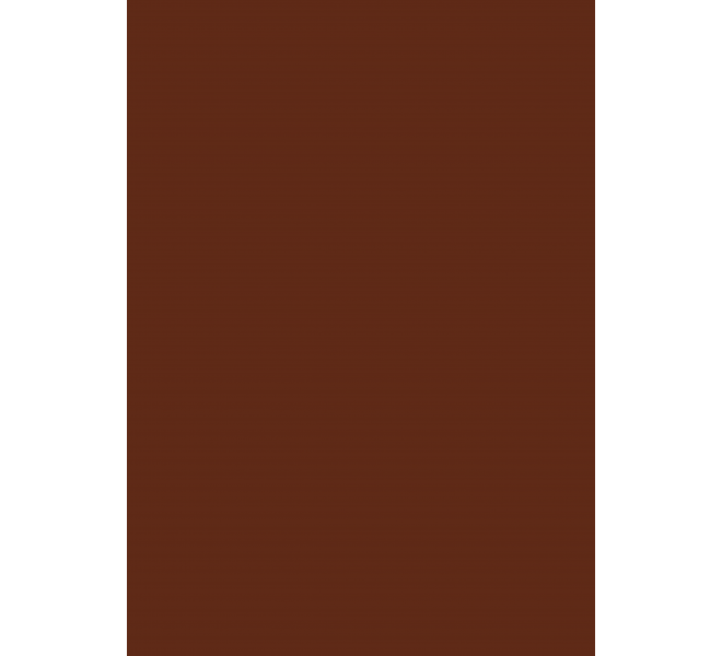 Traveler/ Bloc A4 Básicos