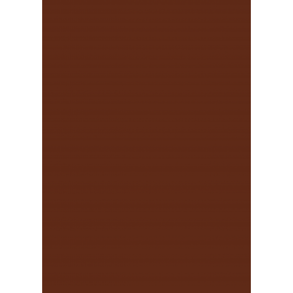 Traveler/ Bloc A4 Básicos