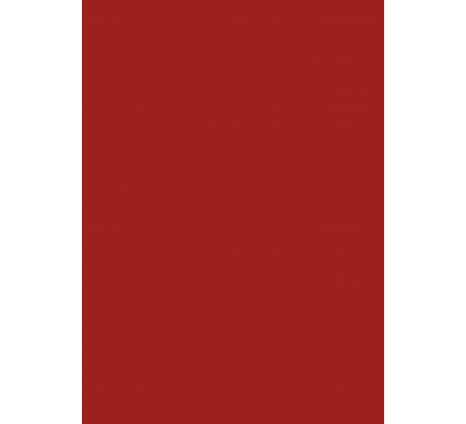 Traveler/ Bloc A4 Básicos