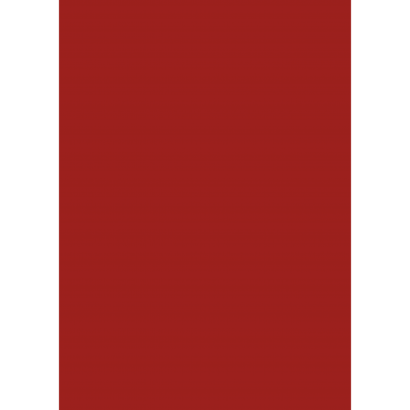 Traveler/ Bloc A4 Básicos