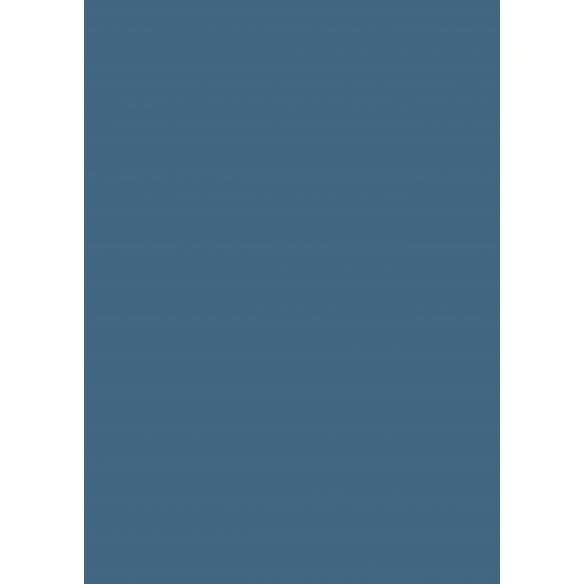 Traveler/ Bloc A4 Básicos