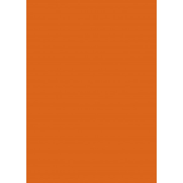 Traveler/ Bloc A4 Básicos