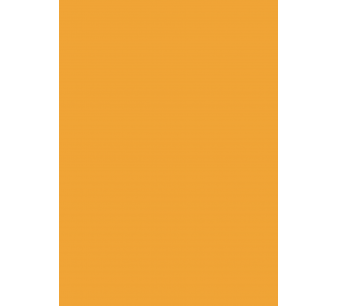 Traveler/ Bloc A4 Básicos