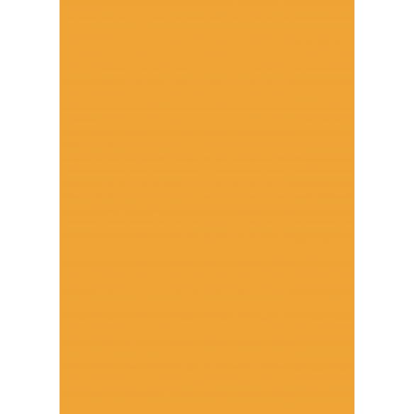 Traveler/ Bloc A4 Básicos