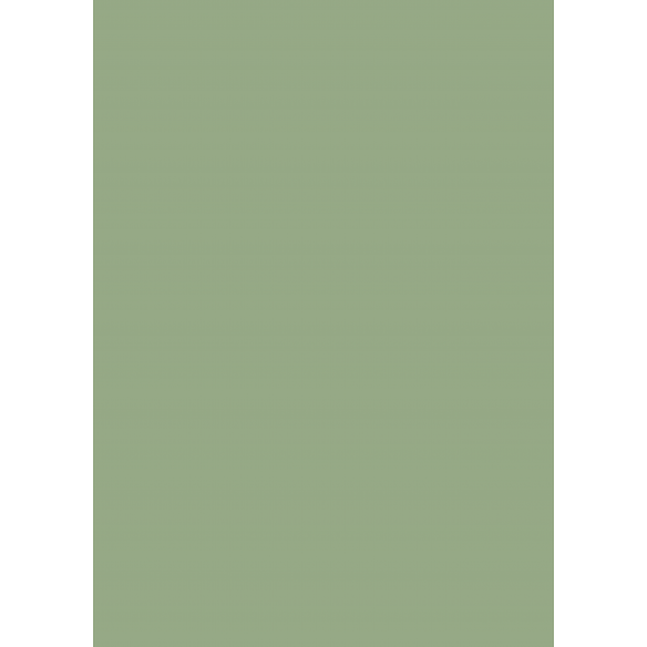 Traveler/ Bloc A4 Básicos