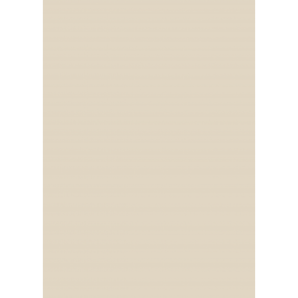 Traveler/ Bloc A4 Básicos