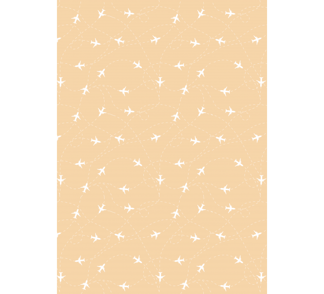 Traveler/ Bloc A4 Básicos