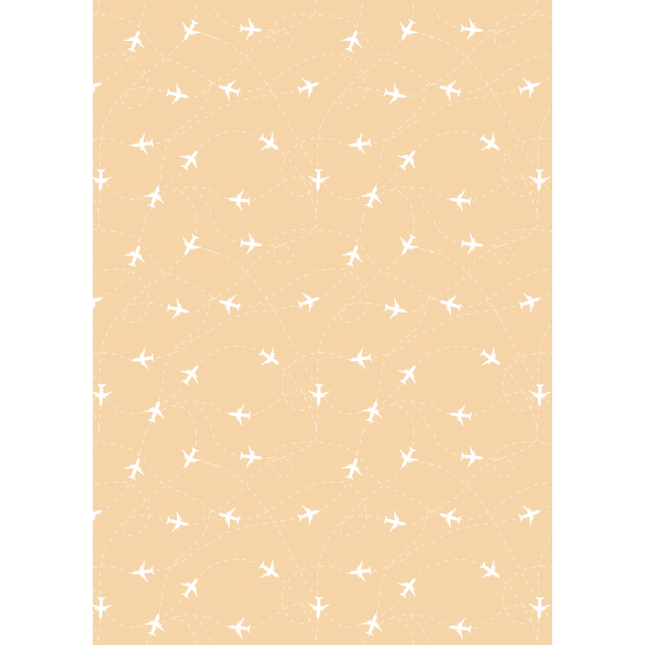 Traveler/ Bloc A4 Básicos