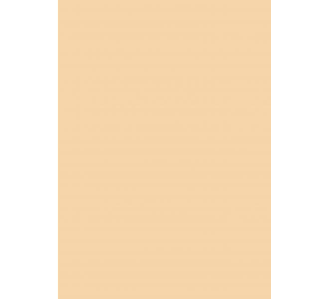 Traveler/ Bloc A4 Básicos