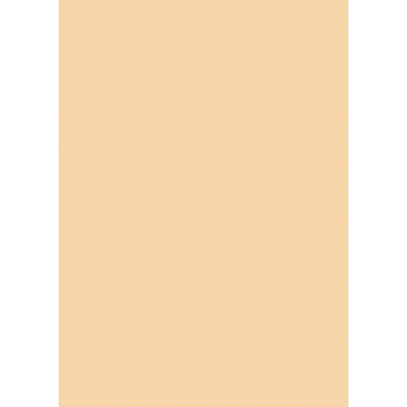 Traveler/ Bloc A4 Básicos