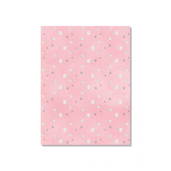 Siempre Jane/ Bloc 15x20