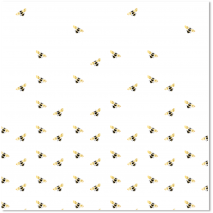 Siempre Jane/ Vellum foil 12x12