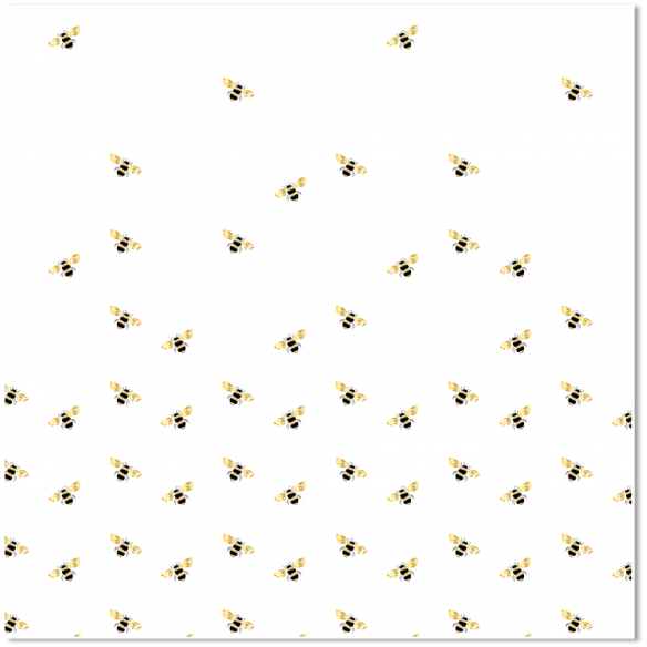 Siempre Jane/ Vellum foil 12x12