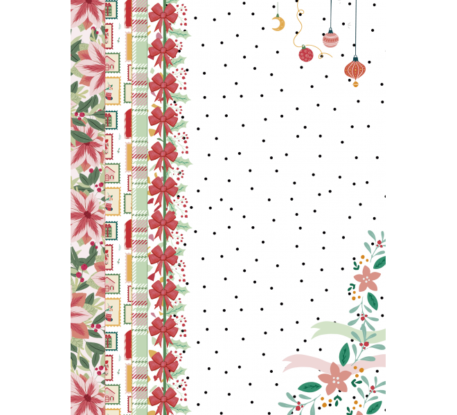 Pack A5 (Mixto tarjetas y papeles) NORTH