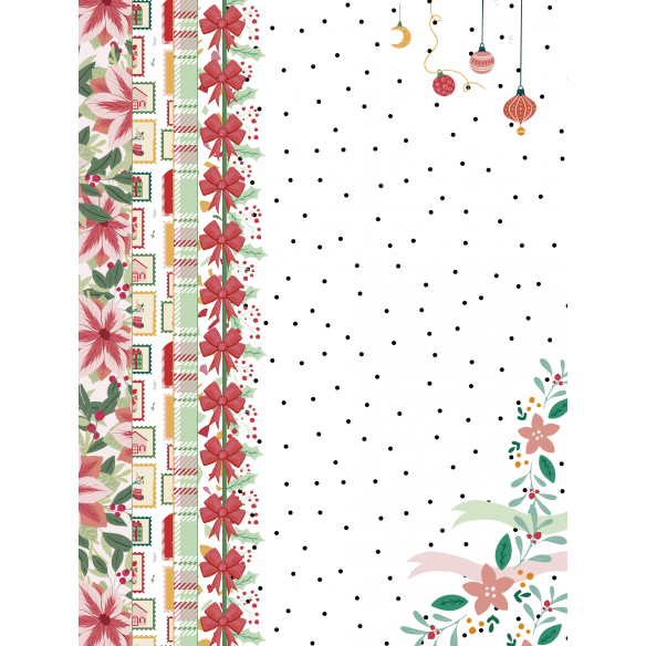 Pack A5 (Mixto tarjetas y papeles) NORTH