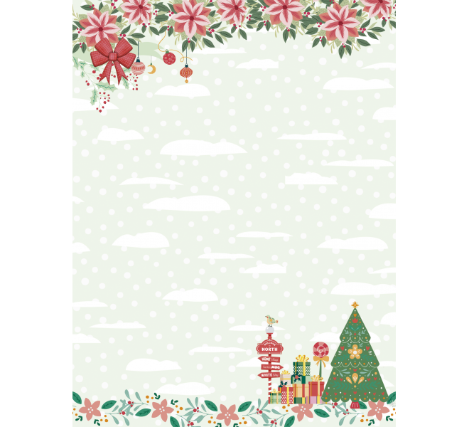 Pack A5 (Mixto tarjetas y papeles) NORTH